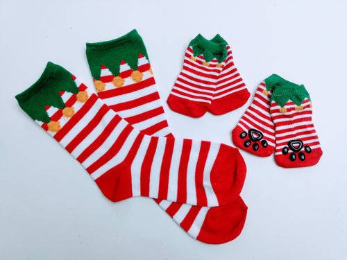 Striped Elf Matching Dog Socks